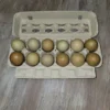 olive egger hatching eggs for sale