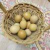 olive egger hatching eggs for sale